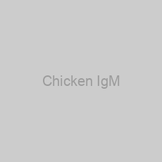 Image of Chicken IgM